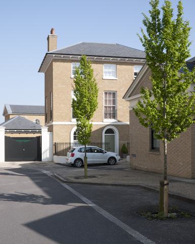 Foto van Carpinus 'Fastigiata'
