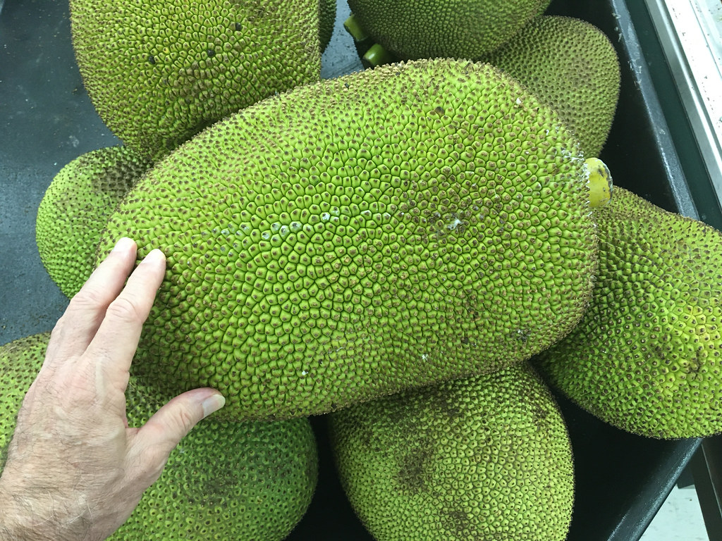 Foto van Jackfruit