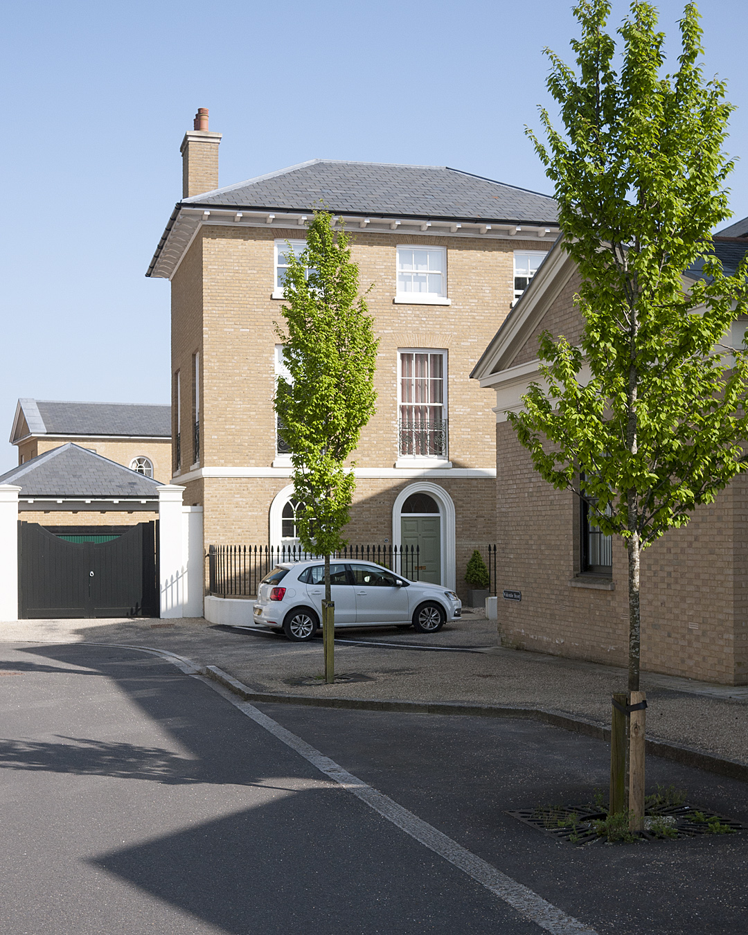 Foto van Haagbeuk ‘Fastigiata’