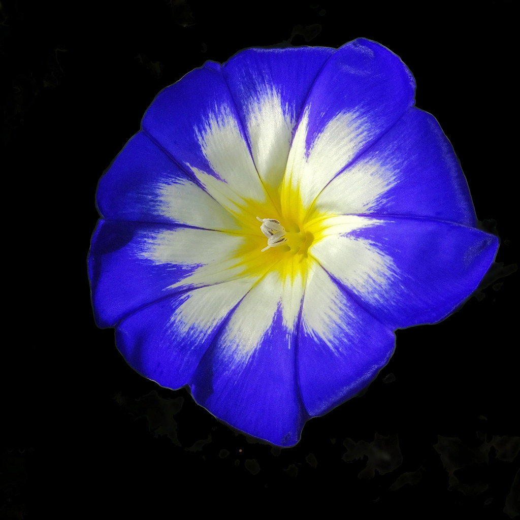 Foto van Dagschone