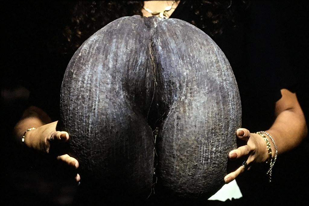 Foto van Zeekokosnoot