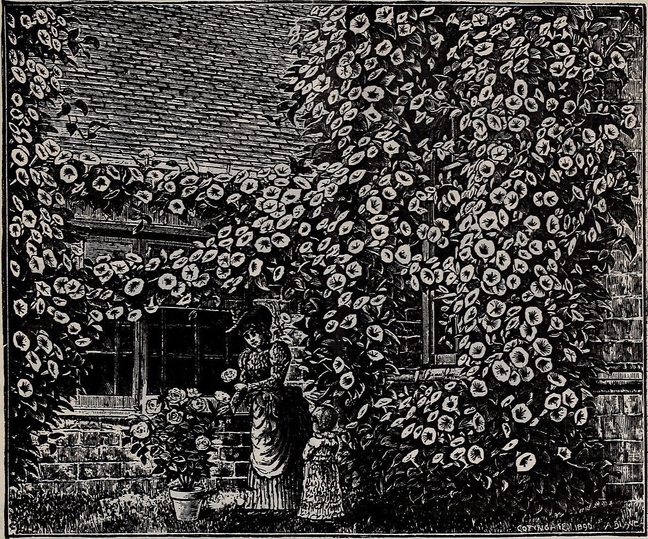Foto van Rode maskerbloem
