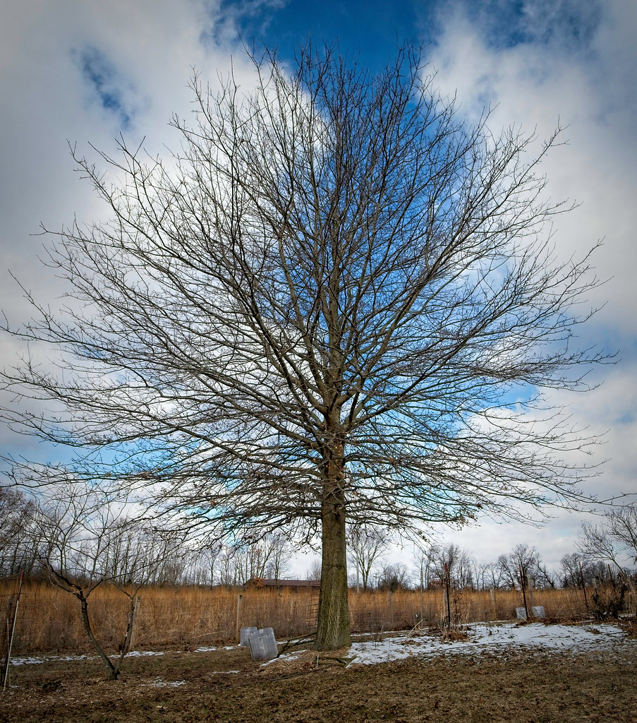 Foto van Moeraseik